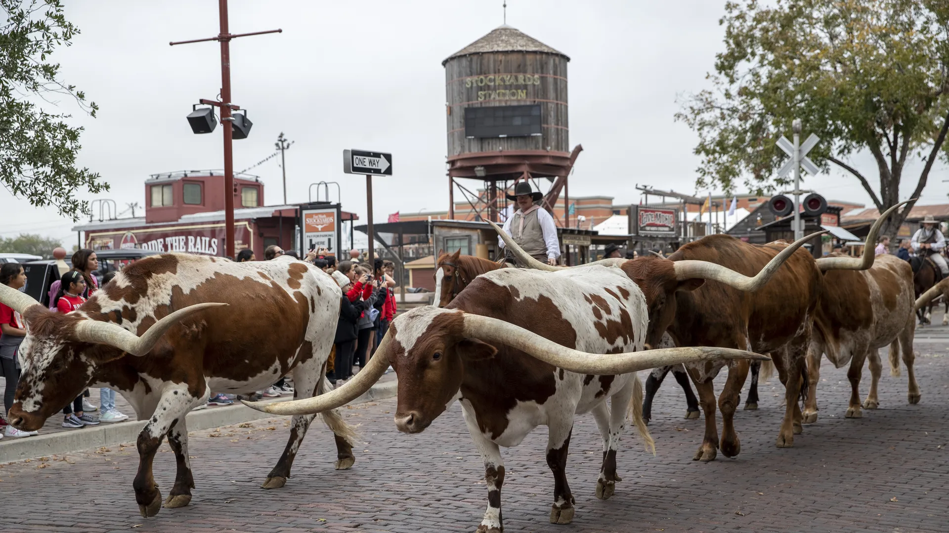 Fort Worth Stockyards | Texas Family Adventure - Museums & Culture in Fort Worth, TX