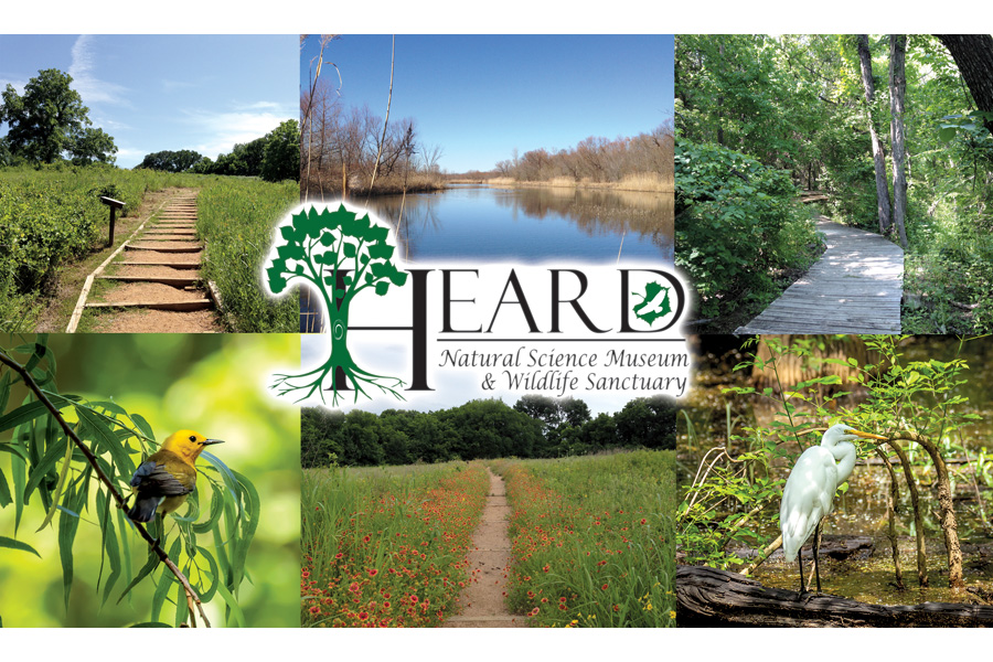 Heard Natural Science Museum Wildlife Sanctuary: McKinney's Top 10 Family Adventure Destination - Parks & Nature in DFW Area