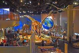 Perot Museum | Science Fun for Families in DFW - Museums & Culture in Dallas, TX