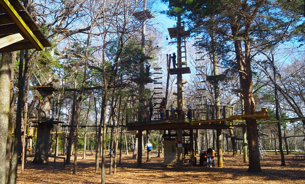 Trinity Forest Adventure Park - Parks & Nature in DFW Area